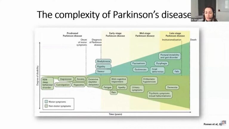 WhatsApp Image 2025-08-04 at 13.04.39_f5e49a16